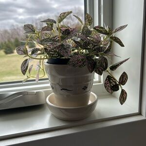 Longaberger Pottery Flower Pot, Classic Blue